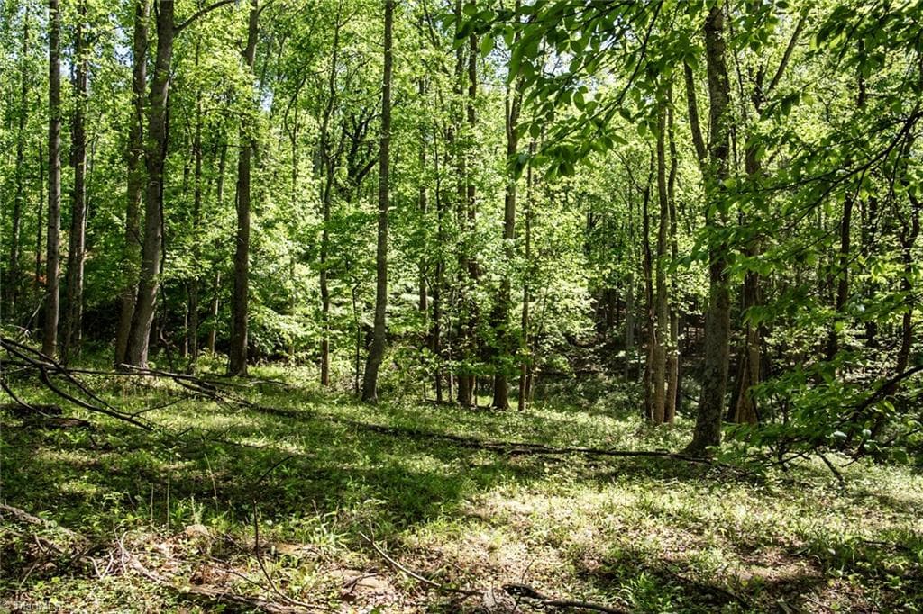 Unimproved Land at 000 Swaringen Road, Traphill NC 28685, photo 14 of 45