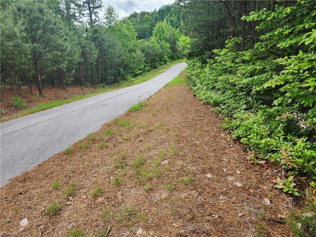 Single Family Residence at TBD Derby Chase Court, McGrady NC 28649, McGrady, photo 2 of 16