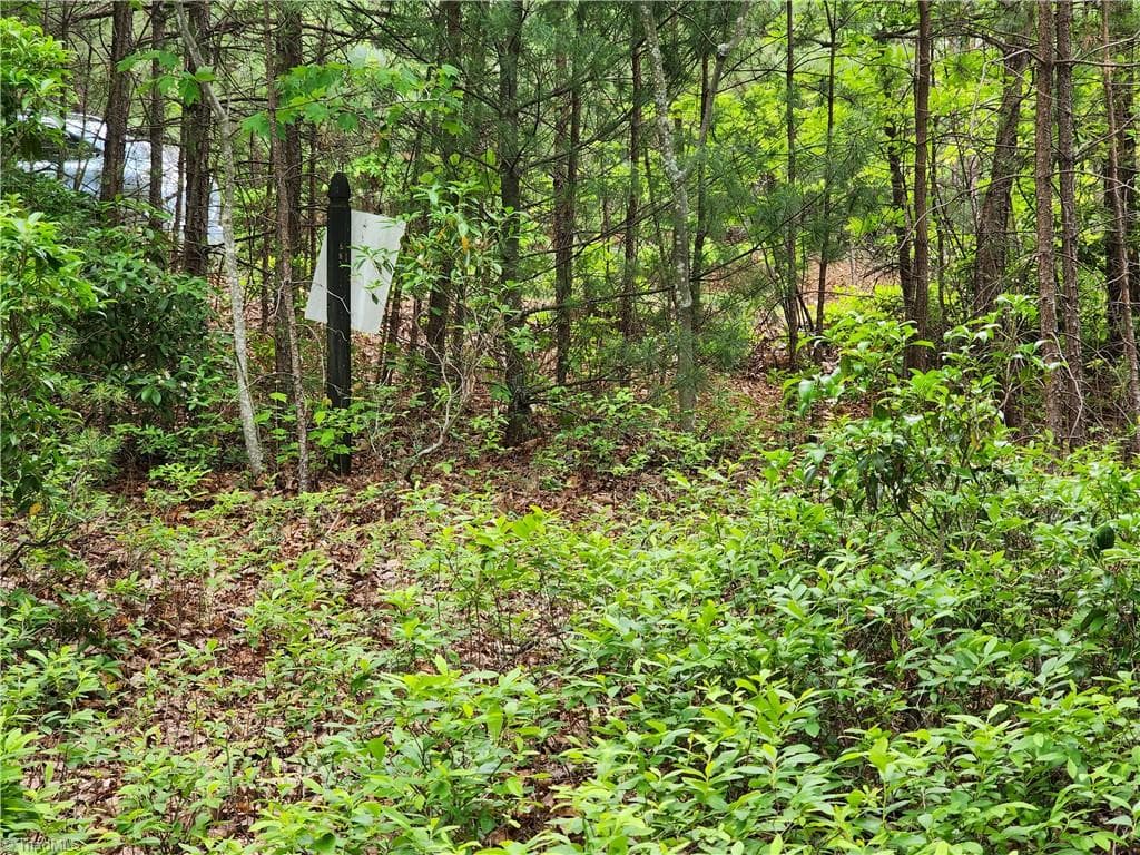 Single Family Residence at TBD Derby Chase Court, McGrady NC 28649, McGrady, photo 11 of 16