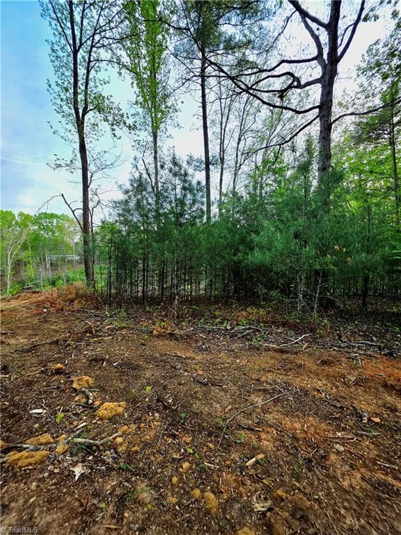 Single Family Residence at TBD Ruritan Park Road, North Wilkesboro NC 28659, North Wilkesboro, photo 2 of 5