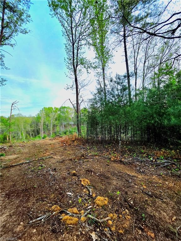 Single Family Residence at TBD Ruritan Park Road, North Wilkesboro NC 28659, North Wilkesboro, photo 3 of 5