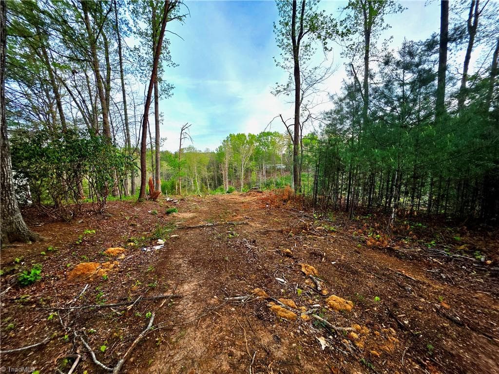 TBD Ruritan Park Road, North Wilkesboro NC 28659
