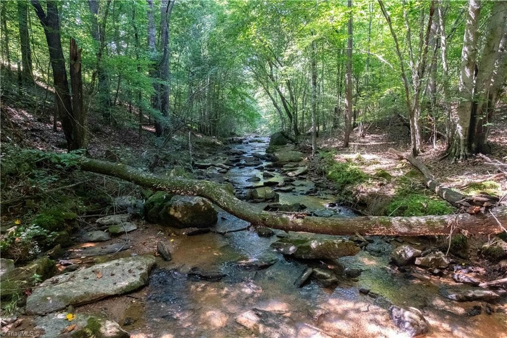 Unimproved Land at 12604 NC Highway 268, Elkin NC 28621, photo 5 of 15