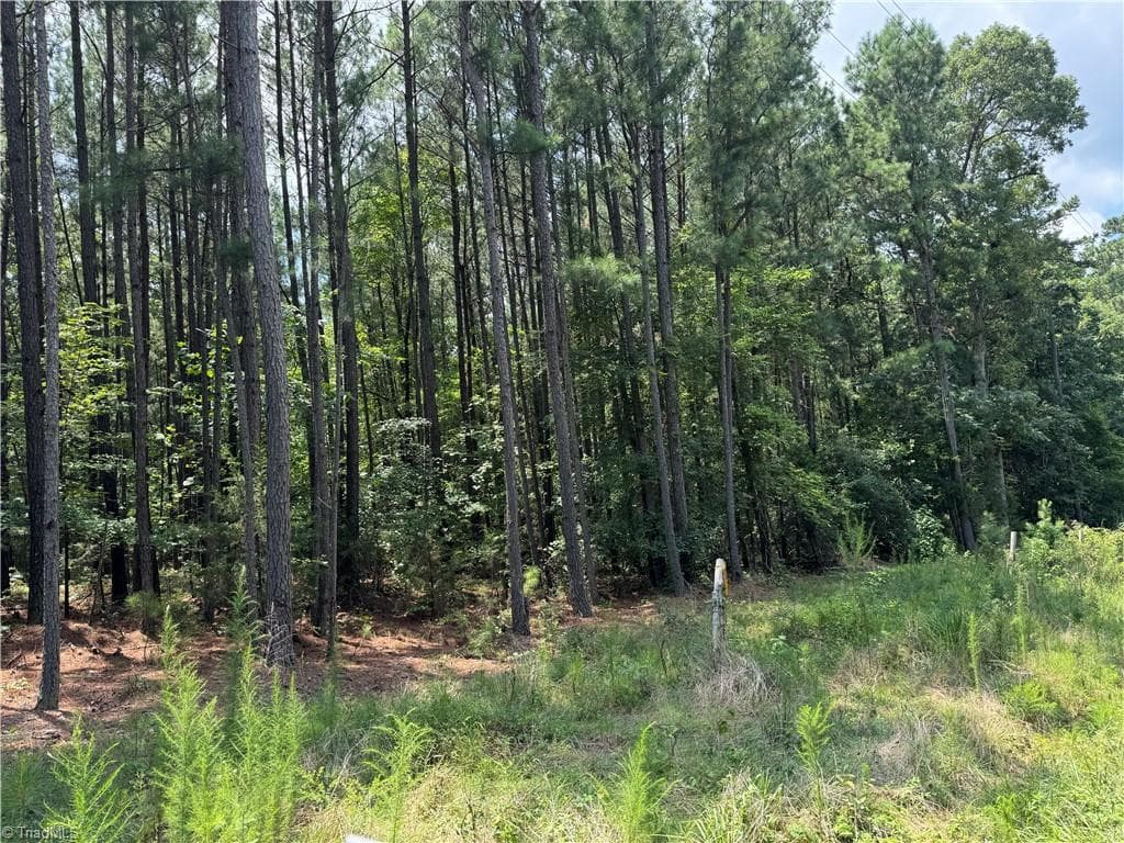 00 Epps Clark Road, Siler City NC 27344