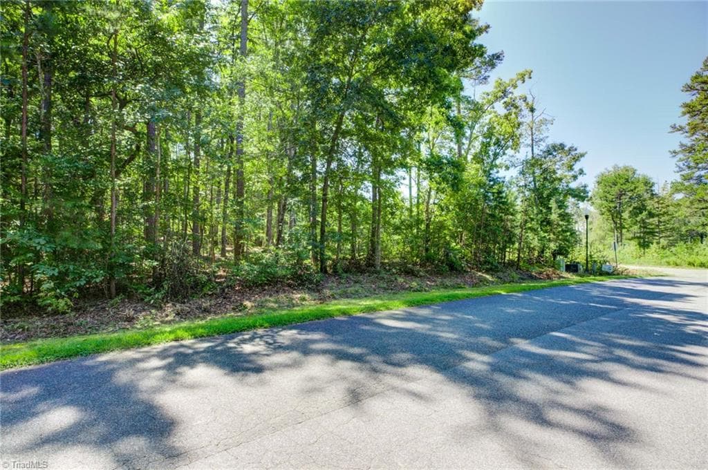 Single Family Residence at 000 Harborgate Drive, Denton NC 27239, Denton, photo 2 of 18