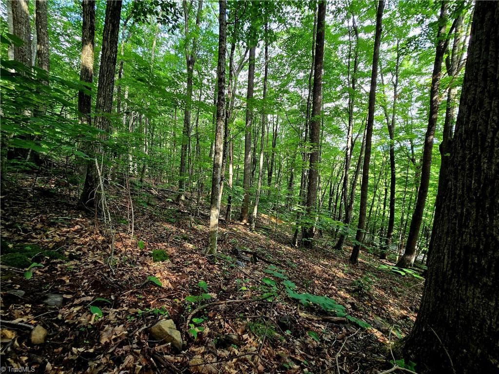 Unimproved Land at TBD Red Fox Trail, Boone NC 28607, photo 5 of 16