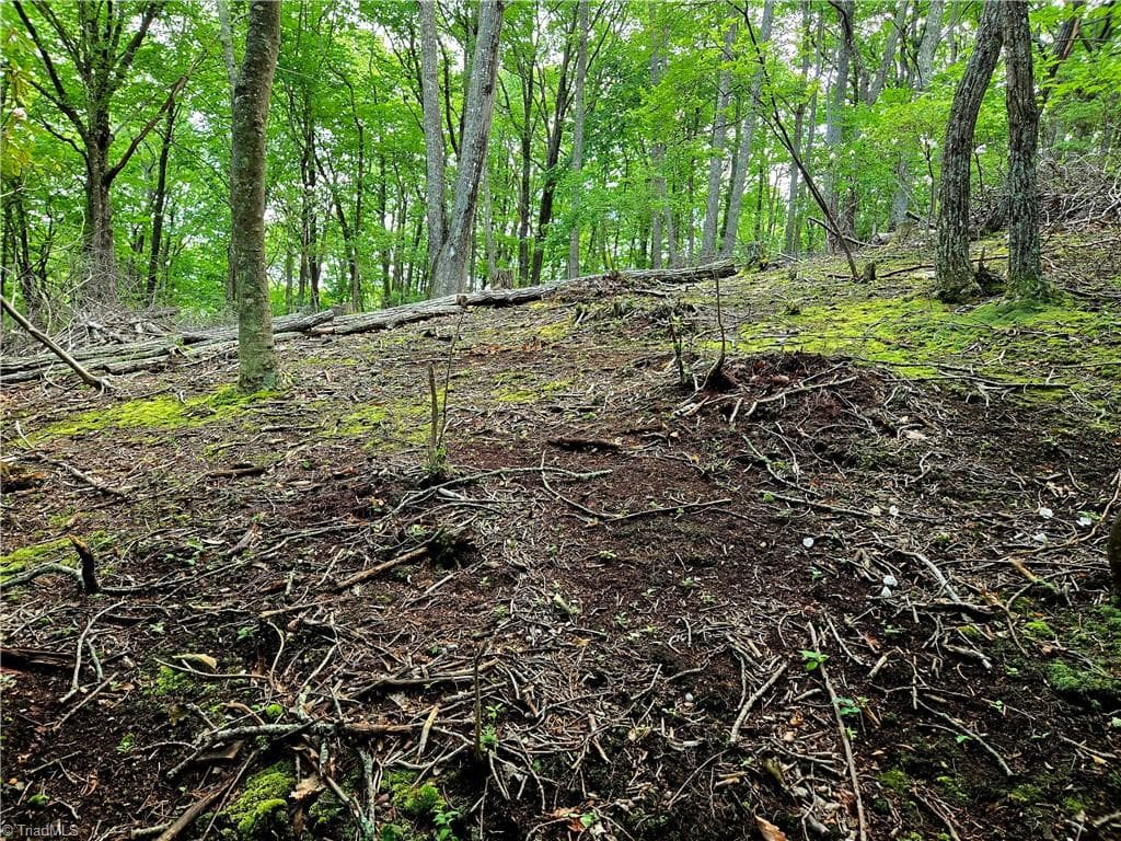 Unimproved Land at TBD Red Fox Trail, Boone NC 28607, photo 5 of 21