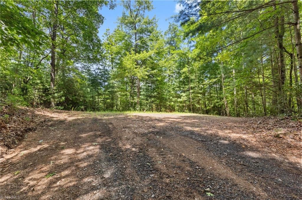 Unimproved Land at 00 clear branch Drive, Millers Creek NC 28651, photo 2 of 13