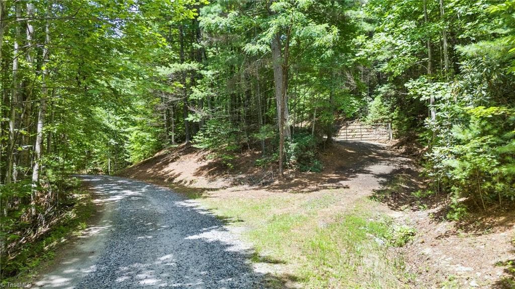 Unimproved Land at 00 clear branch Drive, Millers Creek NC 28651, photo 6 of 13