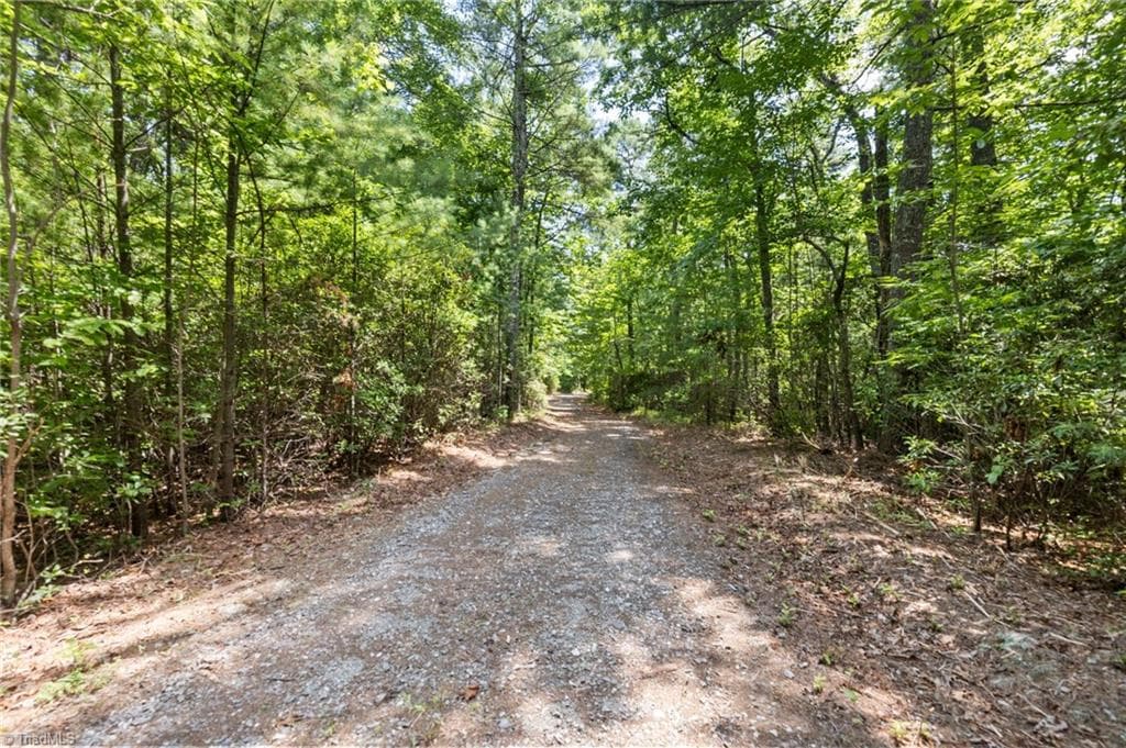 Unimproved Land at 00 clear branch Drive, Millers Creek NC 28651, photo 12 of 13