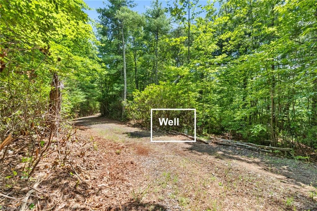 Unimproved Land at 00 clear branch Drive, Millers Creek NC 28651, photo 7 of 13