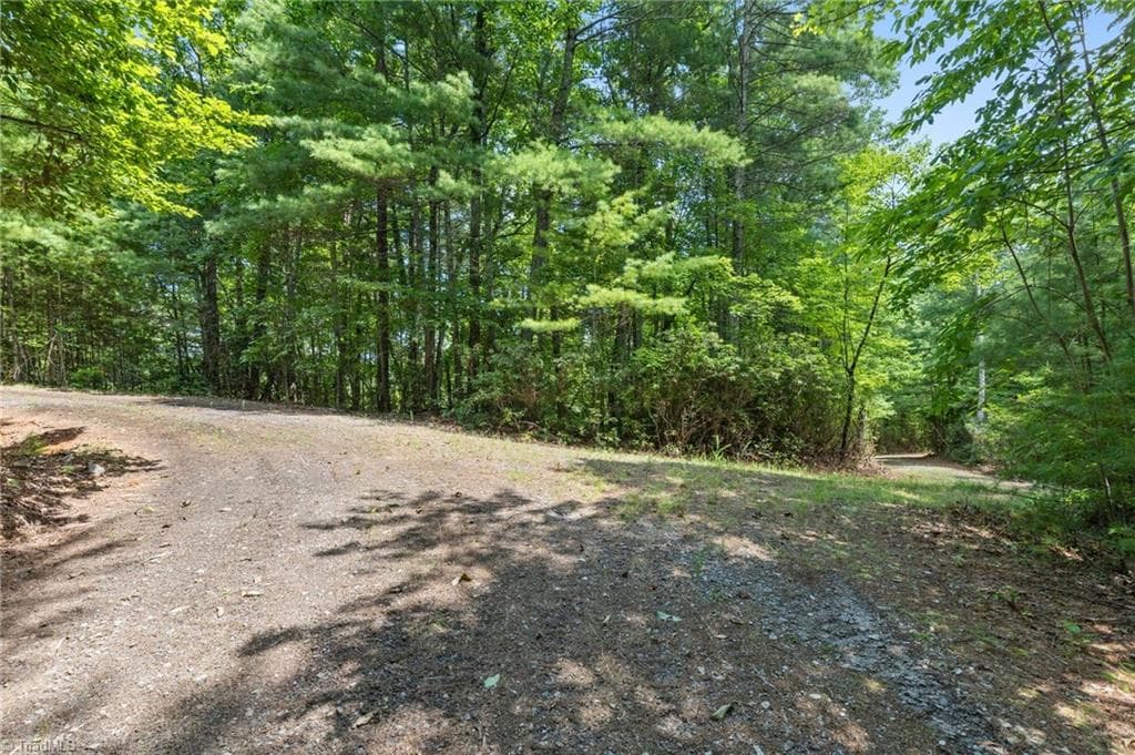 Unimproved Land at 00 clear branch Drive, Millers Creek NC 28651, photo 3 of 13