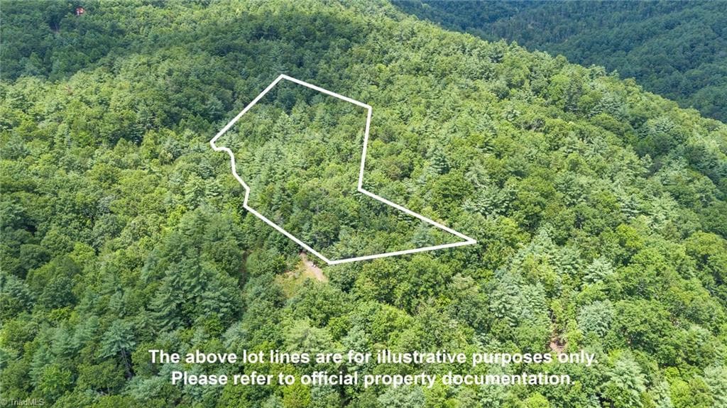 00 clear branch Drive, Millers Creek NC 28651