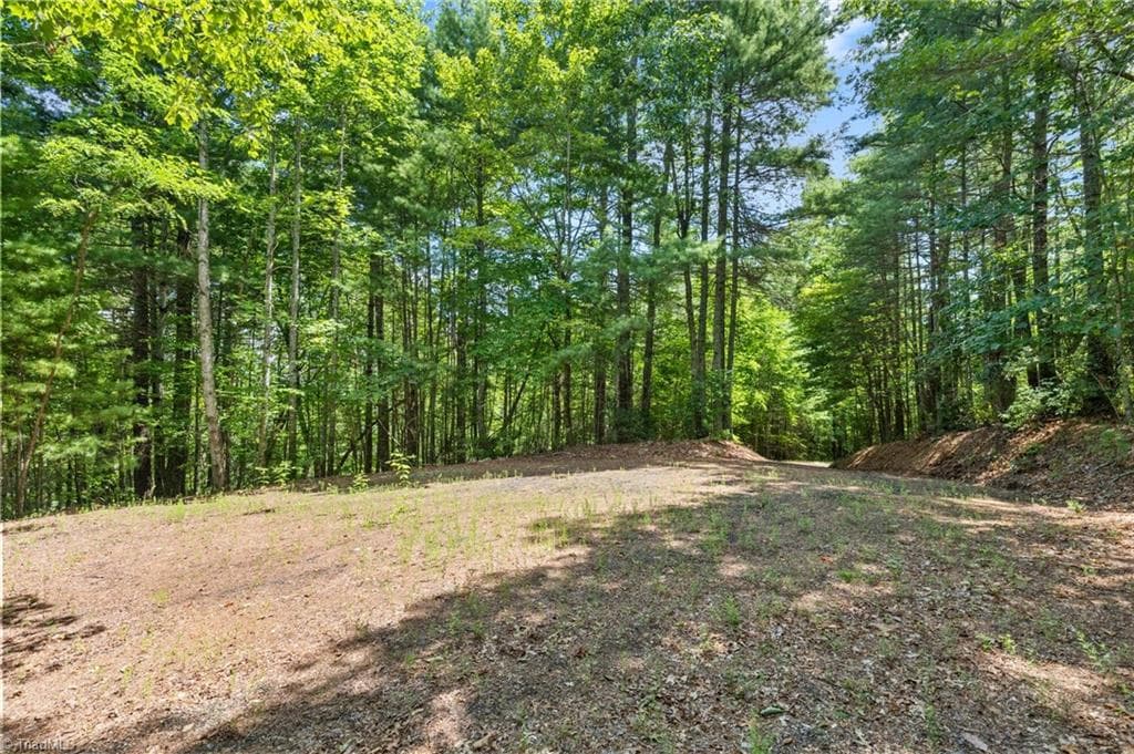 Unimproved Land at 00 clear branch Drive, Millers Creek NC 28651, photo 9 of 13