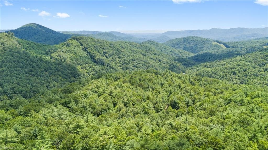 Unimproved Land at 00 clear branch Drive, Millers Creek NC 28651, photo 10 of 13