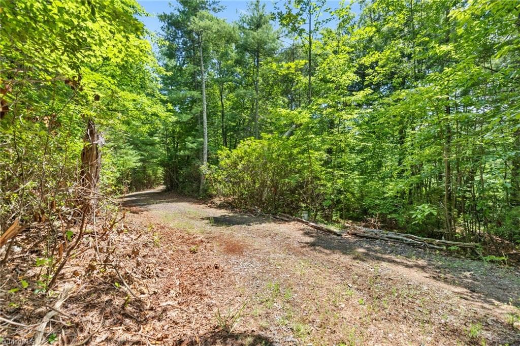 Unimproved Land at 00 clear branch Drive, Millers Creek NC 28651, photo 11 of 13