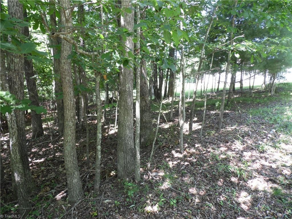Unimproved Land at TBD Hickory View Drive, Sparta NC 28675, photo 6 of 12