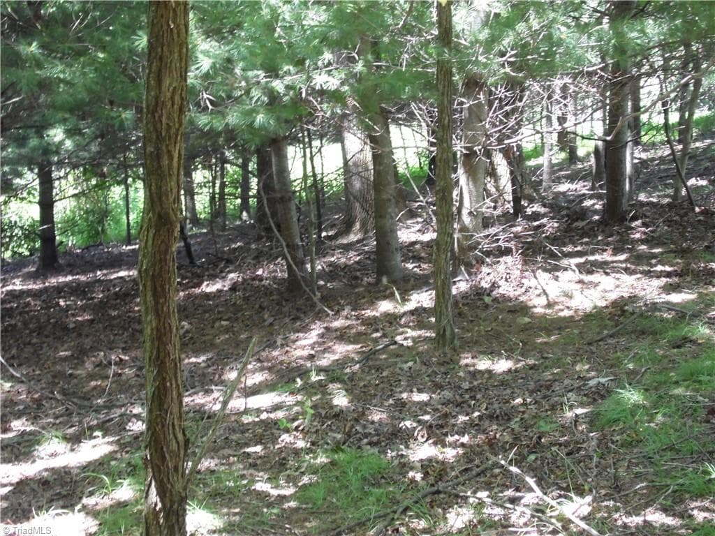 Unimproved Land at TBD Hickory View Drive, Sparta NC 28675, photo 10 of 12