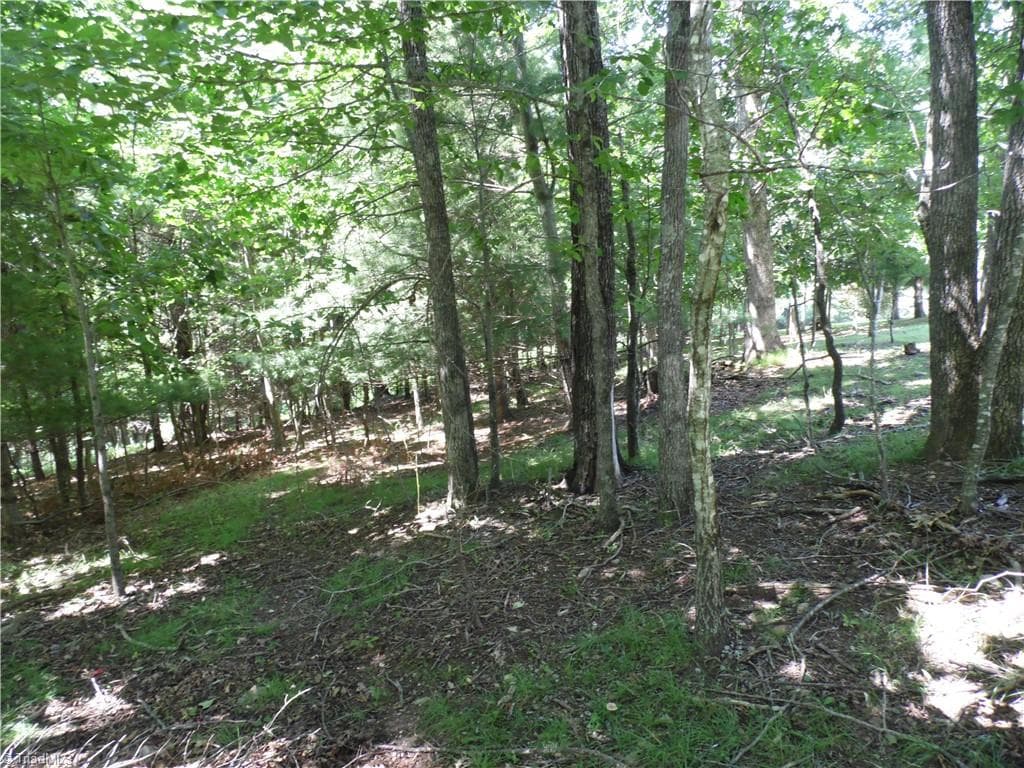 Unimproved Land at TBD Hickory View Drive, Sparta NC 28675, photo 8 of 12