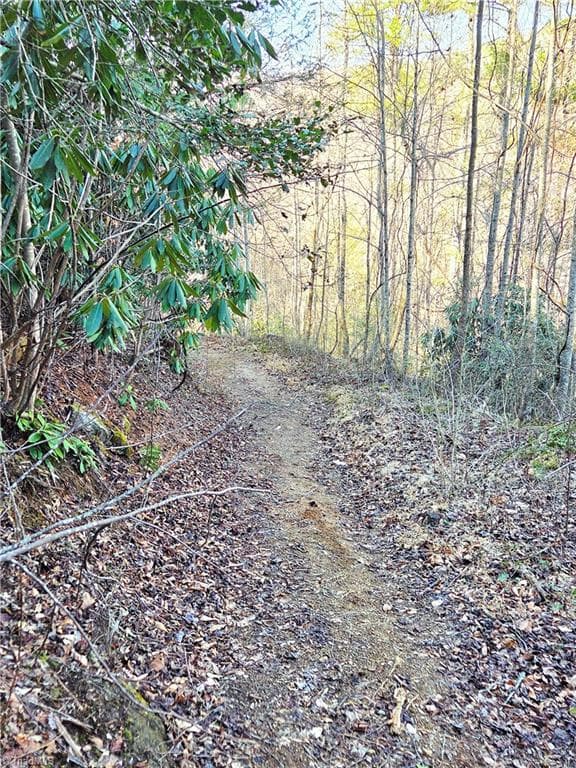Unimproved Land at TBD Eagle Hills Road, Purlear NC 28665, Purlear, photo 6 of 20