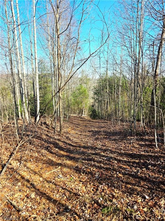 Unimproved Land at TBD Eagle Hills Road, Purlear NC 28665, Purlear, photo 13 of 20