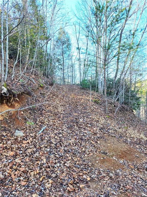 Unimproved Land at TBD Eagle Hills Road, Purlear NC 28665, Purlear, photo 16 of 20