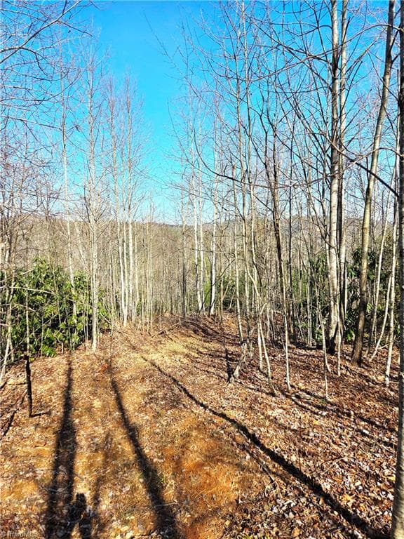 Unimproved Land at TBD Eagle Hills Road, Purlear NC 28665, Purlear, photo 12 of 20