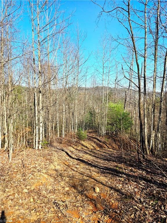 Unimproved Land at TBD Eagle Hills Road, Purlear NC 28665, Purlear, photo 7 of 20