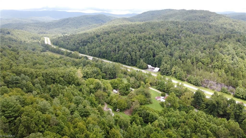 Unimproved Land at TBD Eagle Hills Road, Purlear NC 28665, Purlear, photo 3 of 20