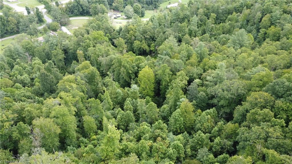 Unimproved Land at TBD Eagle Hills Road, Purlear NC 28665, Purlear, photo 20 of 20