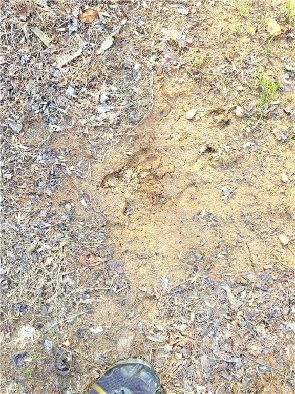 Unimproved Land at TBD Eagle Hills Road, Purlear NC 28665, Purlear, photo 9 of 20