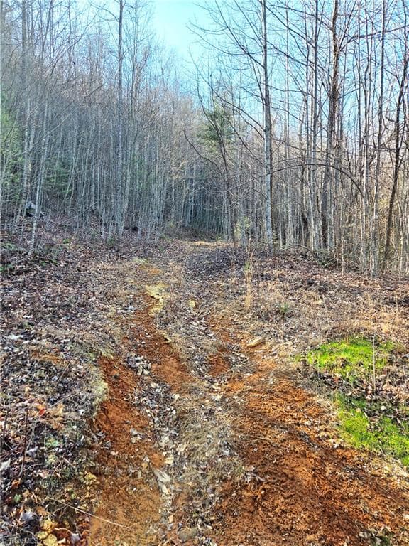 Unimproved Land at TBD Eagle Hills Road, Purlear NC 28665, Purlear, photo 10 of 20
