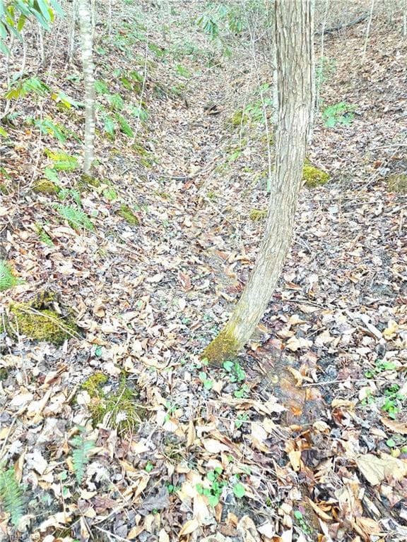Unimproved Land at TBD Eagle Hills Road, Purlear NC 28665, Purlear, photo 14 of 20