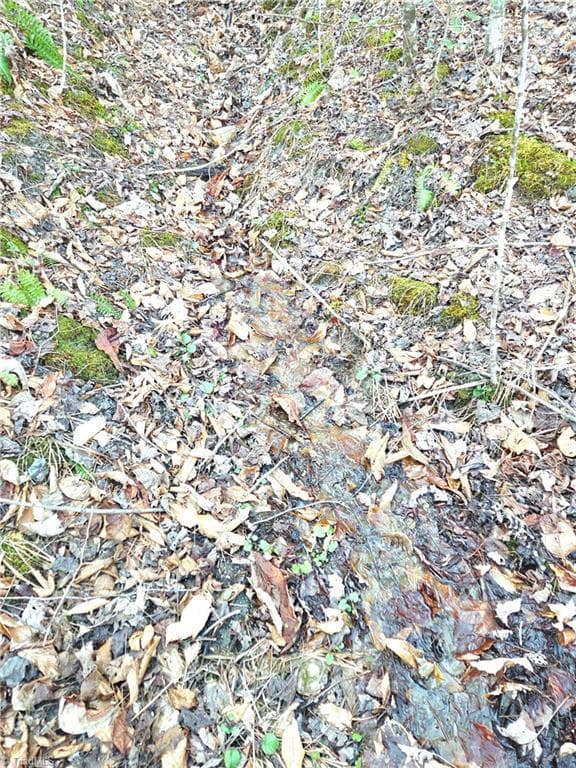 Unimproved Land at TBD Eagle Hills Road, Purlear NC 28665, Purlear, photo 15 of 20