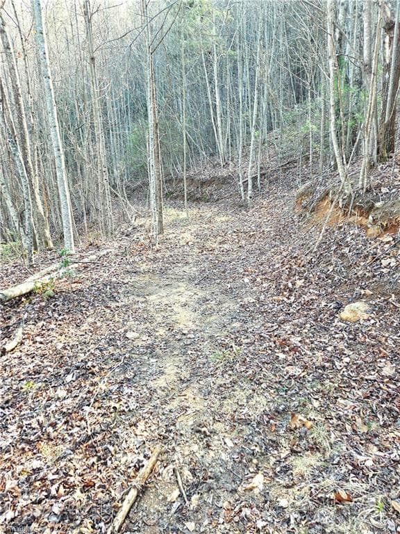 Unimproved Land at TBD Eagle Hills Road, Purlear NC 28665, Purlear, photo 11 of 20