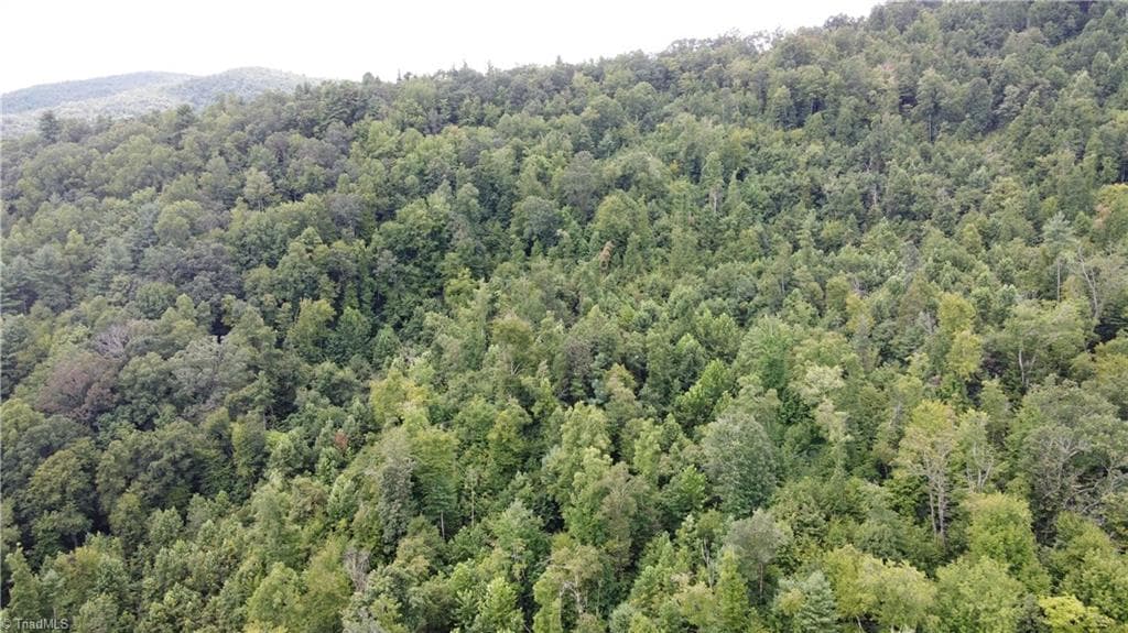 Unimproved Land at TBD Eagle Hills Road, Purlear NC 28665, Purlear, photo 4 of 20