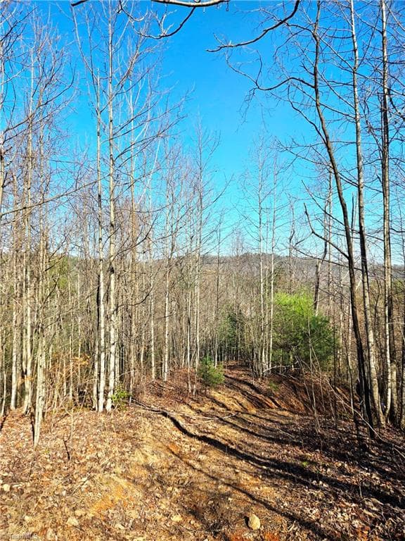 Unimproved Land at TBD Eagle Hills Road, Purlear NC 28665, Purlear, photo 8 of 20