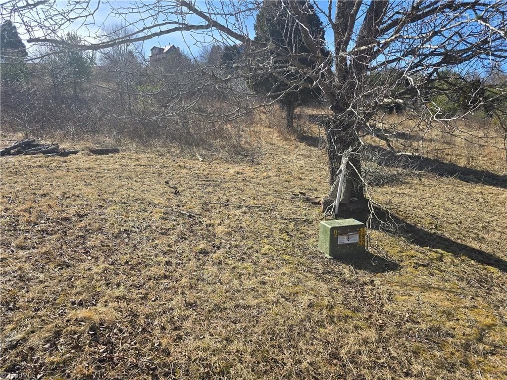 Unimproved Land at Lot #46 New River Landing, Crumpler NC 28617, photo 2 of 8