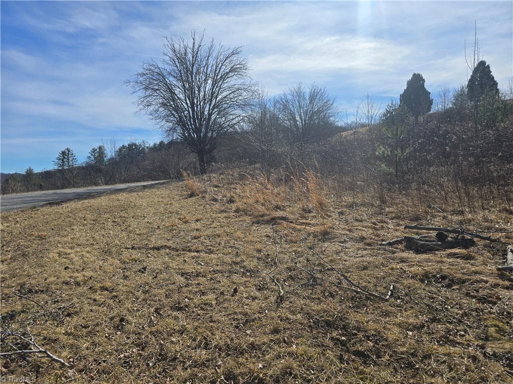 Unimproved Land at Lot #46 New River Landing, Crumpler NC 28617, photo 3 of 8