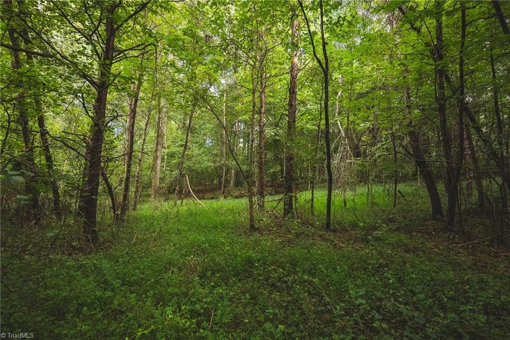 Unimproved Land at TBD Johnson Ridge Road, Elkin NC 28621, photo 6 of 18