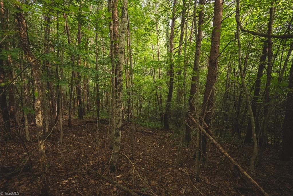 Unimproved Land at TBD Johnson Ridge Road, Elkin NC 28621, photo 12 of 18