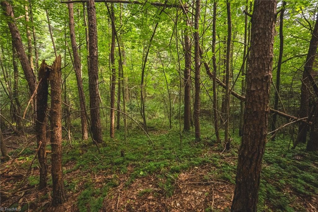 Unimproved Land at TBD Johnson Ridge Road, Elkin NC 28621, photo 7 of 18