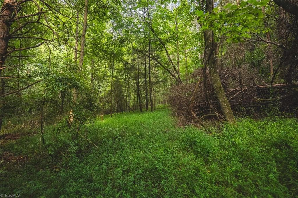 Unimproved Land at TBD Johnson Ridge Road, Elkin NC 28621, photo 10 of 18