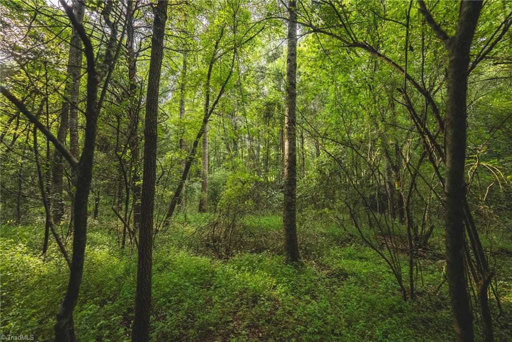 Unimproved Land at TBD Johnson Ridge Road, Elkin NC 28621, photo 14 of 18