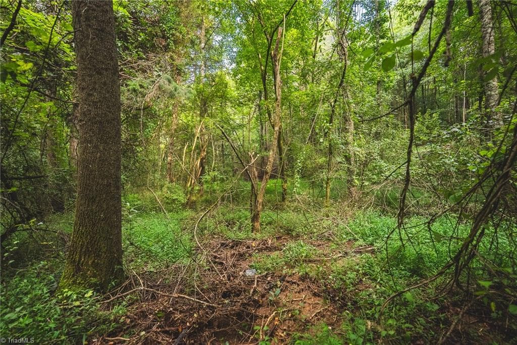Unimproved Land at TBD Johnson Ridge Road, Elkin NC 28621, photo 11 of 18