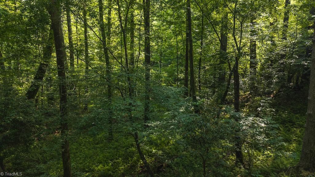 Single Family Residence at TBD Brushy Mountain Road, Moravian Falls NC 28654, photo 17 of 26