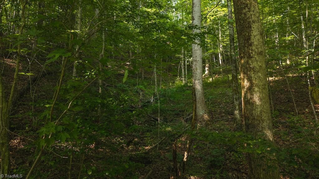 Single Family Residence at TBD Brushy Mountain Road, Moravian Falls NC 28654, photo 26 of 26