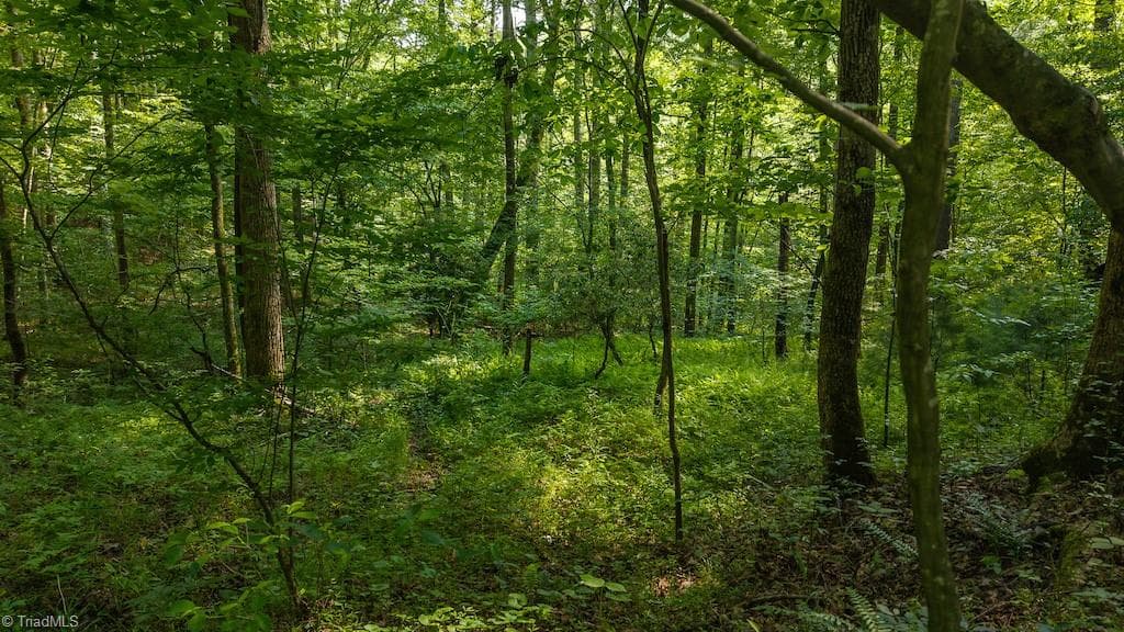 Single Family Residence at TBD Brushy Mountain Road, Moravian Falls NC 28654, photo 22 of 26
