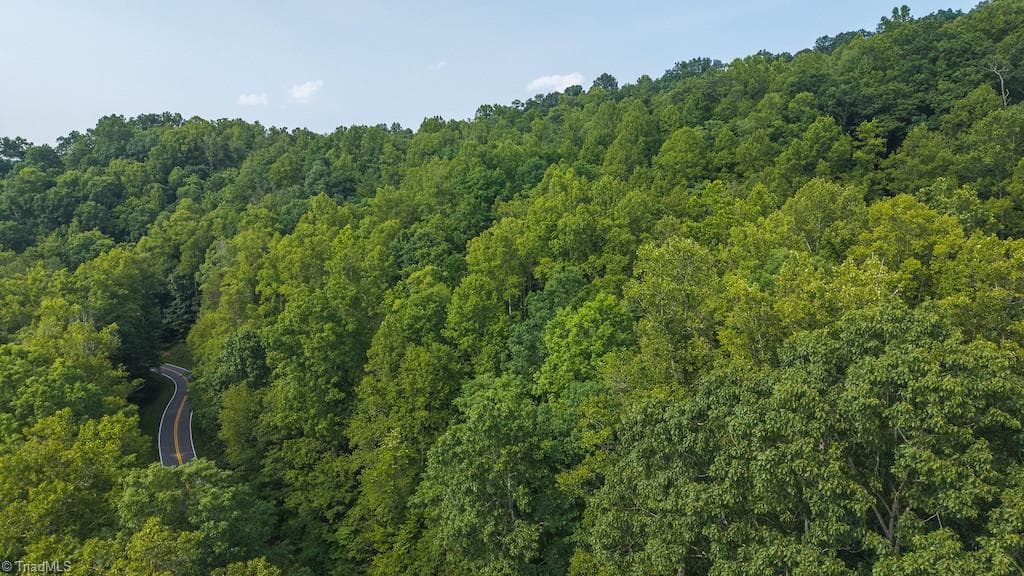 Single Family Residence at TBD Brushy Mountain Road, Moravian Falls NC 28654, photo 3 of 26
