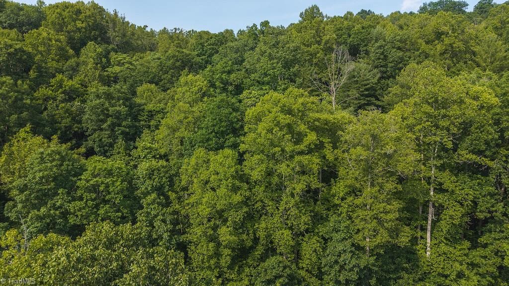 Single Family Residence at TBD Brushy Mountain Road, Moravian Falls NC 28654, photo 20 of 26